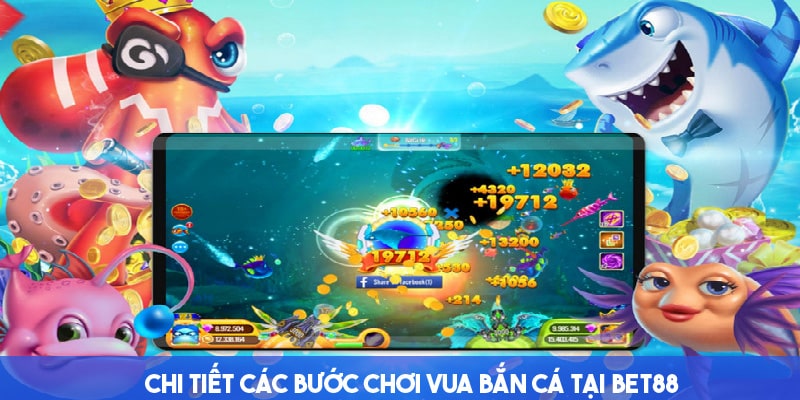 Theo dõi các bước tham gia vua bắn cá tại Bet88 