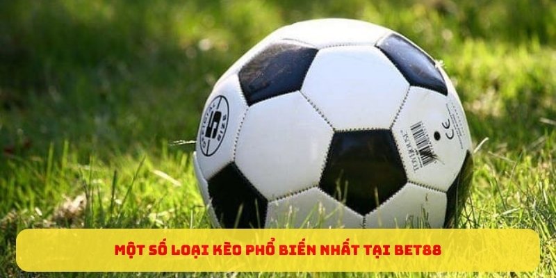 Một số loại kèo phổ biến nhất tại Bet88