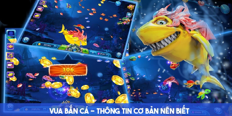 Thông tin giúp trải nghiệm vua bắn cá Bet88 thuận tiện hơn 